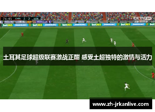 土耳其足球超级联赛激战正酣 感受土超独特的激情与活力